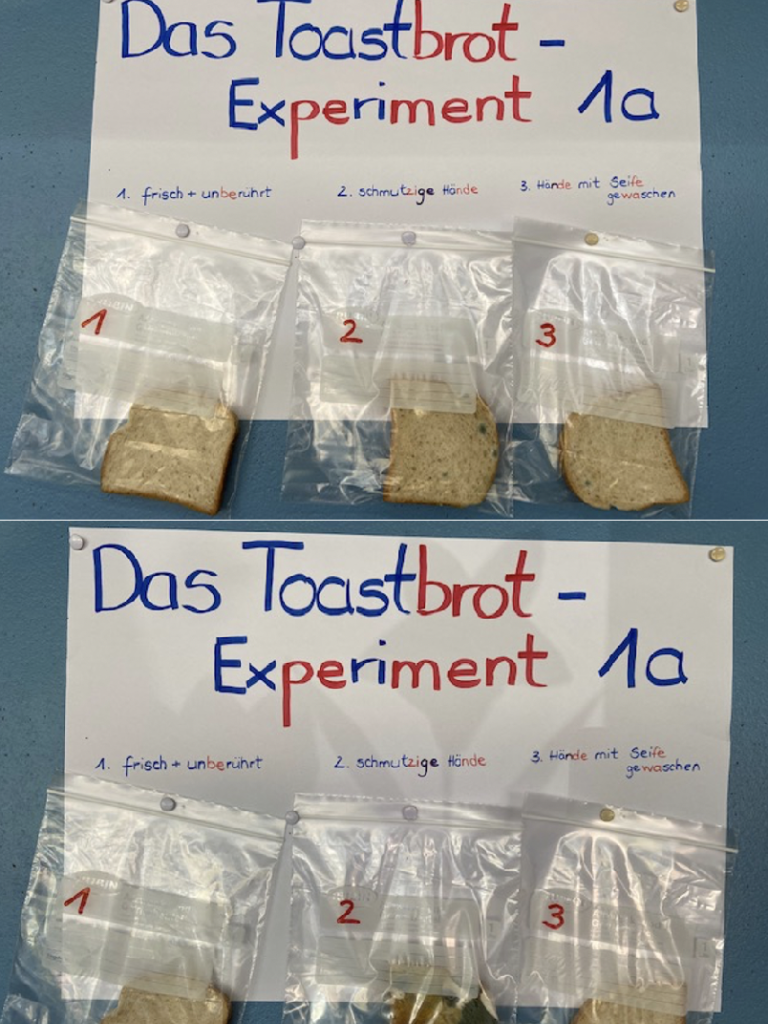  Toastexperiment 1a 